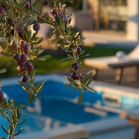 Luxury Luminosa Villa Split